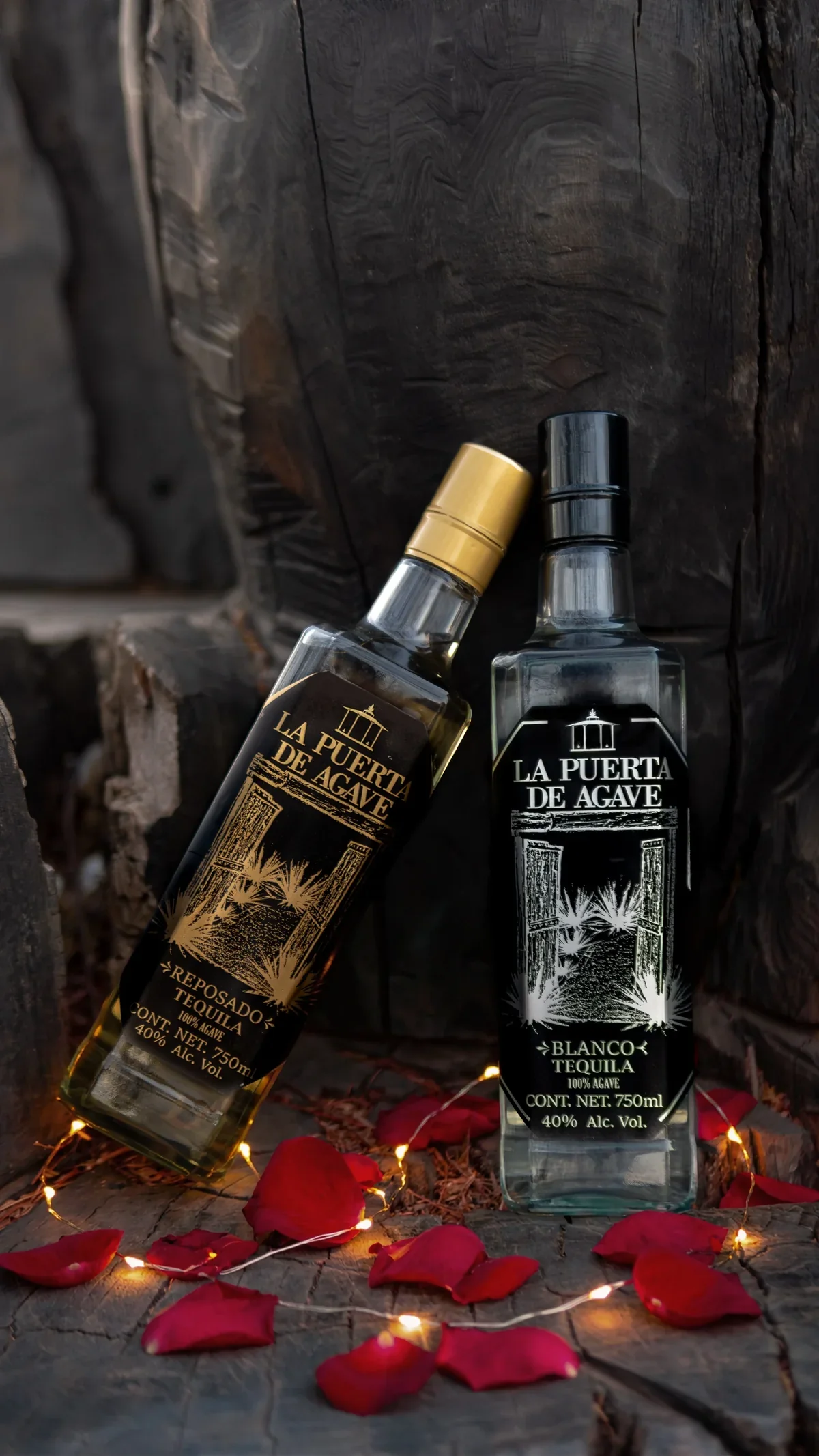 Composición fotográfica tequila con agave natural — branding visual para marca de tequila artesanal Jalisco